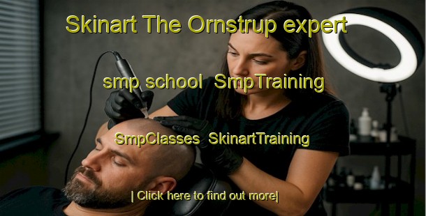 Skinart The Ornstrup expert smp school | SmpTraining | SmpClasses | SkinartTraining-Denmark