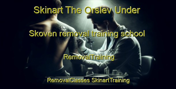 Skinart The Orslev Under Skoven removal training school | #RemovalTraining #RemovalClasses #SkinartTraining-Denmark