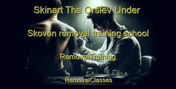 Skinart The Orslev Under Skoven removal training school | RemovalTraining | RemovalClasses | SkinartTraining-Denmark