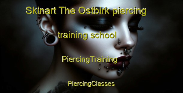 Skinart The Ostbirk piercing training school | #PiercingTraining #PiercingClasses #SkinartTraining-Denmark