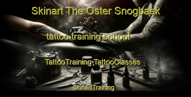 Skinart The Oster Snogbaek tattoo training school | #TattooTraining #TattooClasses #SkinartTraining-Denmark