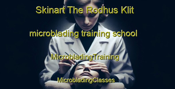Skinart The Rodhus Klit microblading training school | MicrobladingTraining | MicrobladingClasses | SkinartTraining-Denmark