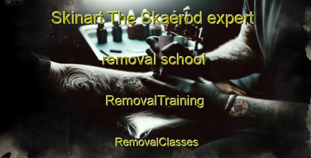 Skinart The Skaerod expert removal school | RemovalTraining | RemovalClasses | SkinartTraining-Denmark