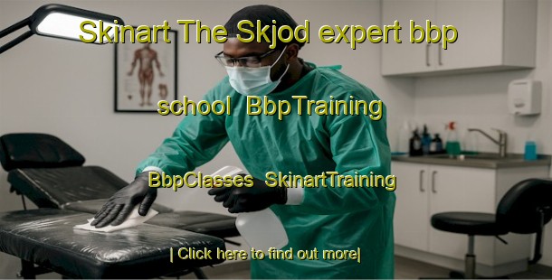 Skinart The Skjod expert bbp school | BbpTraining | BbpClasses | SkinartTraining-Denmark