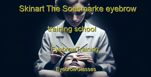 Skinart The Soesmarke eyebrow training school | EyebrowTraining | EyebrowClasses | SkinartTraining-Denmark