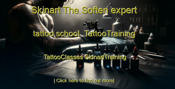 Skinart The Soften expert tattoo school | #TattooTraining #TattooClasses #SkinartTraining-Denmark