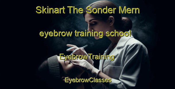 Skinart The Sonder Mern eyebrow training school | EyebrowTraining | EyebrowClasses | SkinartTraining-Denmark