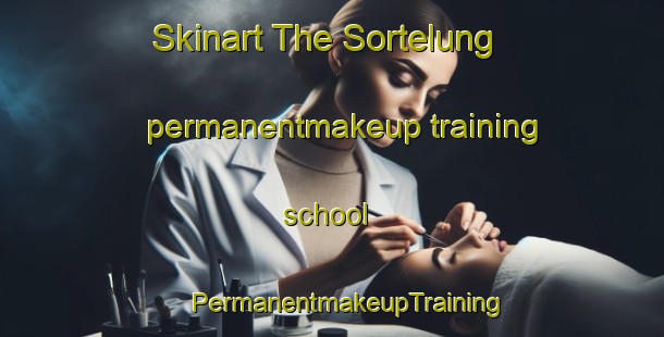 Skinart The Sortelung permanentmakeup training school | #PermanentmakeupTraining #PermanentmakeupClasses #SkinartTraining-Denmark