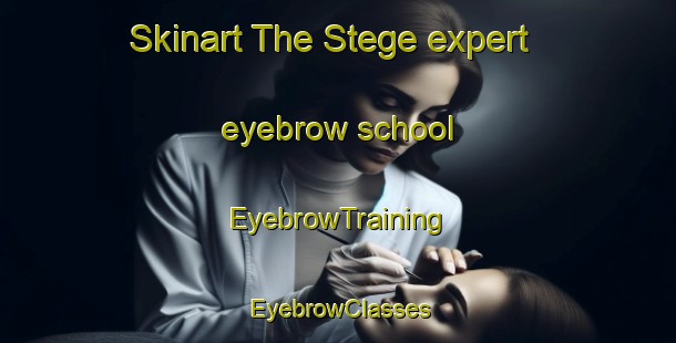Skinart The Stege expert eyebrow school | EyebrowTraining | EyebrowClasses | SkinartTraining-Denmark