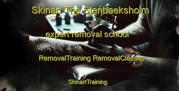 Skinart The Stenbaeksholm expert removal school | #RemovalTraining #RemovalClasses #SkinartTraining-Denmark