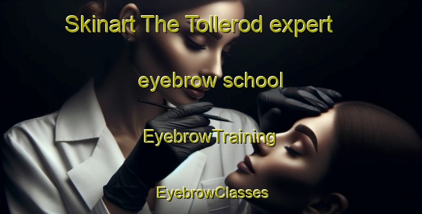 Skinart The Tollerod expert eyebrow school | EyebrowTraining | EyebrowClasses | SkinartTraining-Denmark
