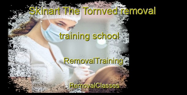 Skinart The Tornved removal training school | RemovalTraining | RemovalClasses | SkinartTraining-Denmark