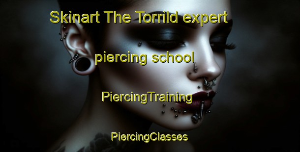 Skinart The Torrild expert piercing school | #PiercingTraining #PiercingClasses #SkinartTraining-Denmark