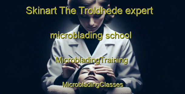 Skinart The Troldhede expert microblading school | #MicrobladingTraining #MicrobladingClasses #SkinartTraining-Denmark