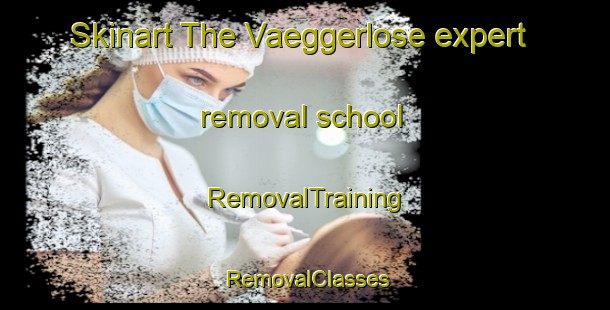 Skinart The Vaeggerlose expert removal school | RemovalTraining | RemovalClasses | SkinartTraining-Denmark