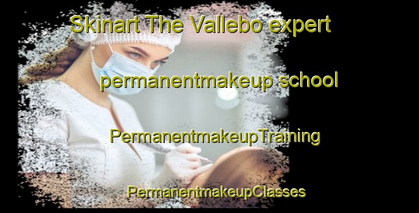 Skinart The Vallebo expert permanentmakeup school | PermanentmakeupTraining | PermanentmakeupClasses | SkinartTraining-Denmark