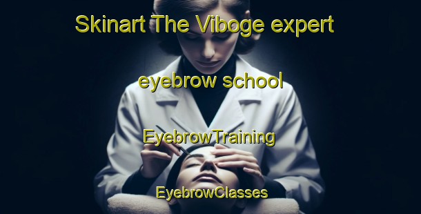 Skinart The Viboge expert eyebrow school | EyebrowTraining | EyebrowClasses | SkinartTraining-Denmark