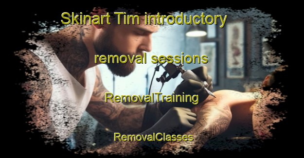 Skinart Tim introductory removal sessions | RemovalTraining | RemovalClasses | SkinartTraining-Denmark