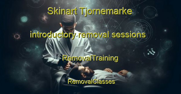 Skinart Tjornemarke introductory removal sessions | RemovalTraining | RemovalClasses | SkinartTraining-Denmark