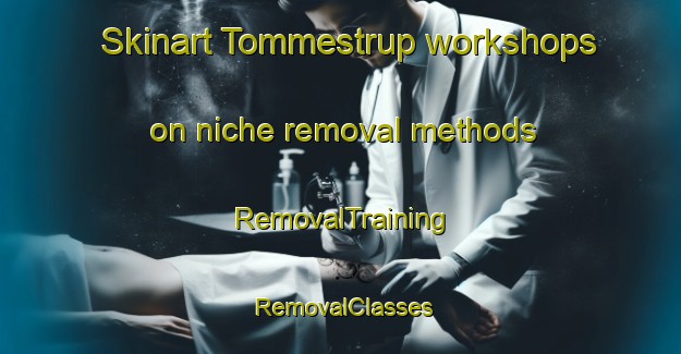 Skinart Tommestrup workshops on niche removal methods | RemovalTraining | RemovalClasses | SkinartTraining-Denmark