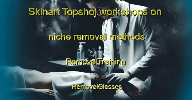 Skinart Topshoj workshops on niche removal methods | RemovalTraining | RemovalClasses | SkinartTraining-Denmark