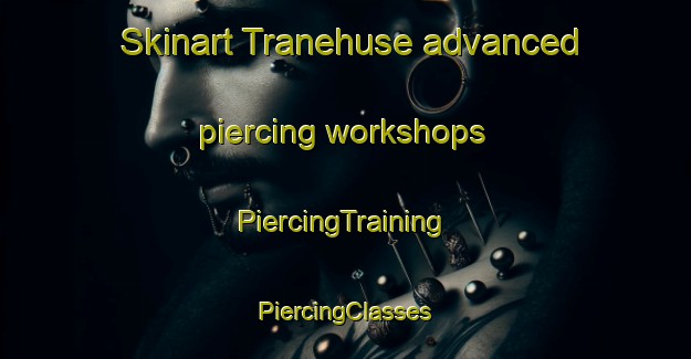 Skinart Tranehuse advanced piercing workshops | #PiercingTraining #PiercingClasses #SkinartTraining-Denmark