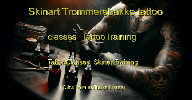 Skinart Trommerebakke tattoo classes | TattooTraining | TattooClasses | SkinartTraining-Denmark
