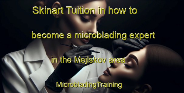 Skinart Tuition in how to become a microblading expert in the Mejlskov area | MicrobladingTraining | MicrobladingClasses | SkinartTraining-Denmark