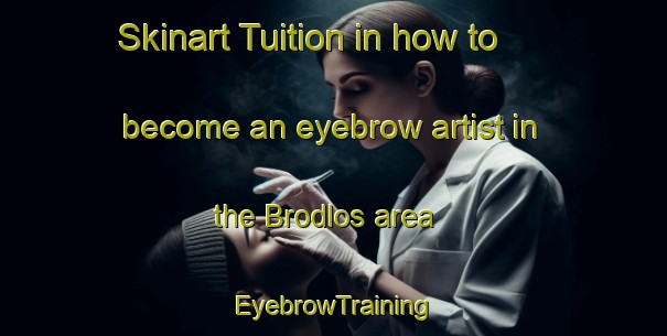 Skinart Tuition in how to become an eyebrow artist in the Brodlos area | EyebrowTraining | EyebrowClasses | SkinartTraining-Denmark