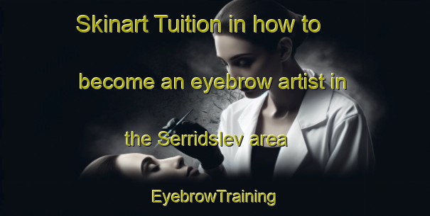 Skinart Tuition in how to become an eyebrow artist in the Serridslev area | EyebrowTraining | EyebrowClasses | SkinartTraining-Denmark