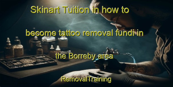 Skinart Tuition in how to become tattoo removal fundi in the Borreby area | RemovalTraining | RemovalClasses | SkinartTraining-Denmark