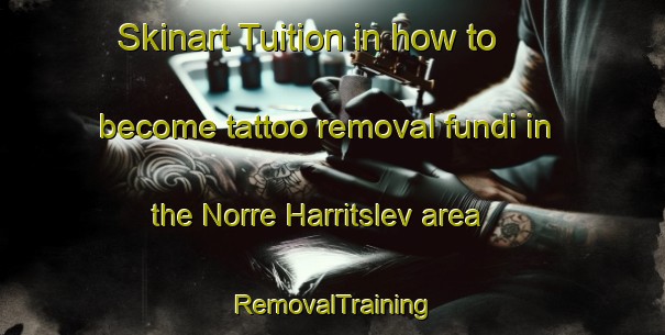 Skinart Tuition in how to become tattoo removal fundi in the Norre Harritslev area | RemovalTraining | RemovalClasses | SkinartTraining-Denmark