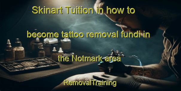 Skinart Tuition in how to become tattoo removal fundi in the Notmark area | RemovalTraining | RemovalClasses | SkinartTraining-Denmark