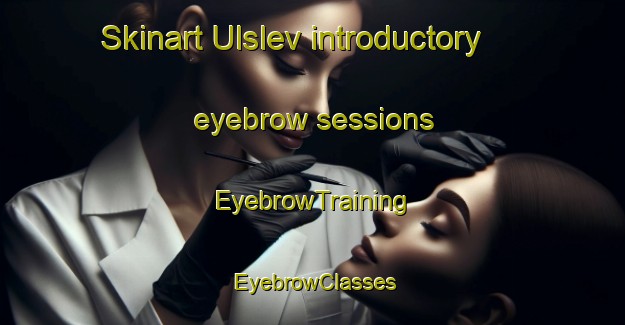 Skinart Ulslev introductory eyebrow sessions | EyebrowTraining | EyebrowClasses | SkinartTraining-Denmark
