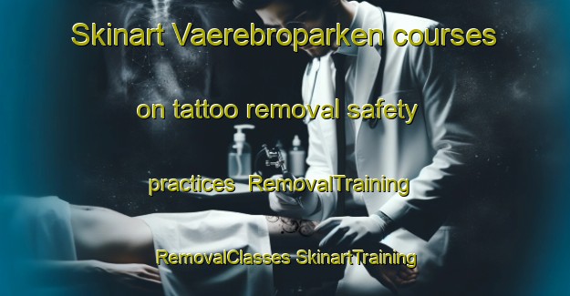 Skinart Vaerebroparken courses on tattoo removal safety practices | #RemovalTraining #RemovalClasses #SkinartTraining-Denmark