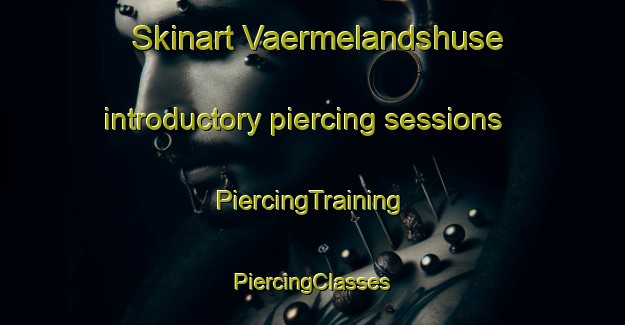 Skinart Vaermelandshuse introductory piercing sessions | #PiercingTraining #PiercingClasses #SkinartTraining-Denmark