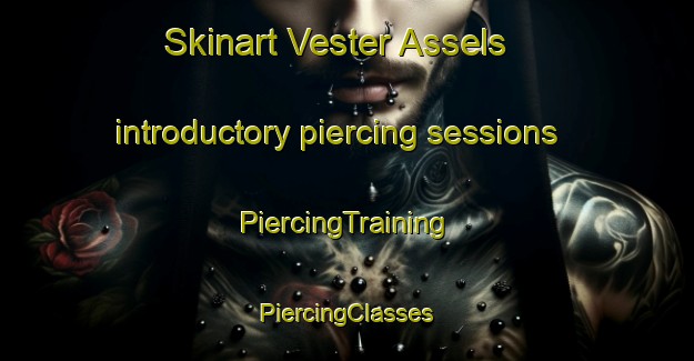 Skinart Vester Assels introductory piercing sessions | #PiercingTraining #PiercingClasses #SkinartTraining-Denmark