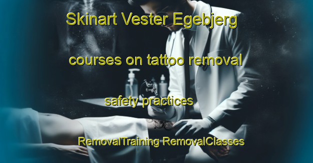 Skinart Vester Egebjerg courses on tattoo removal safety practices | #RemovalTraining #RemovalClasses #SkinartTraining-Denmark