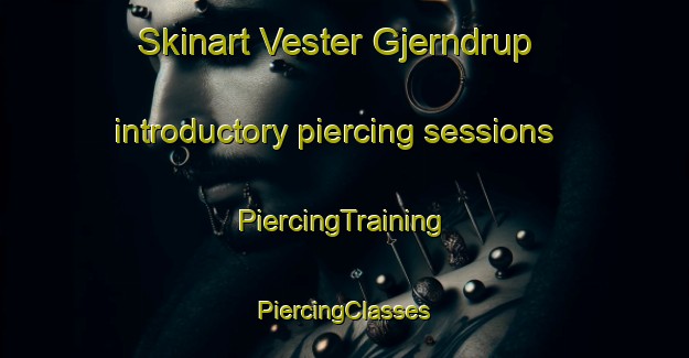 Skinart Vester Gjerndrup introductory piercing sessions | #PiercingTraining #PiercingClasses #SkinartTraining-Denmark