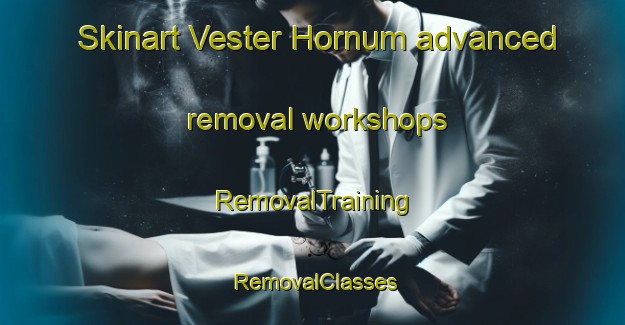 Skinart Vester Hornum advanced removal workshops | RemovalTraining | RemovalClasses | SkinartTraining-Denmark