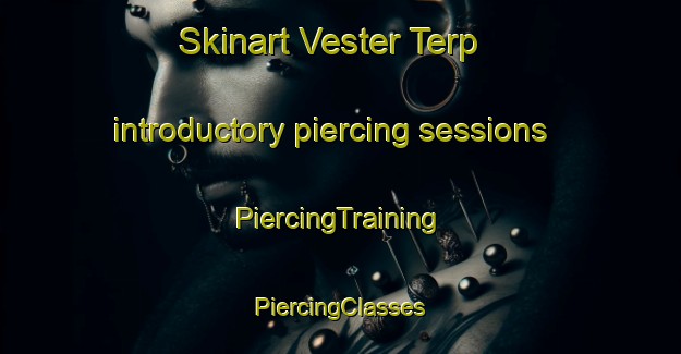 Skinart Vester Terp introductory piercing sessions | #PiercingTraining #PiercingClasses #SkinartTraining-Denmark