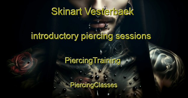 Skinart Vesterbaek introductory piercing sessions | #PiercingTraining #PiercingClasses #SkinartTraining-Denmark