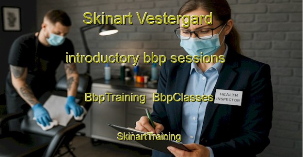 Skinart Vestergard introductory bbp sessions | BbpTraining | BbpClasses | SkinartTraining-Denmark
