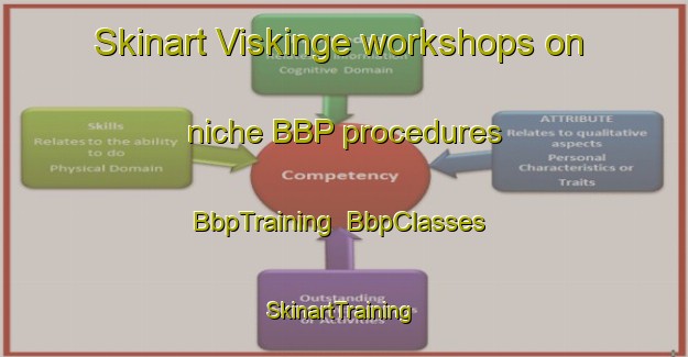 Skinart Viskinge workshops on niche BBP procedures | BbpTraining | BbpClasses | SkinartTraining-Denmark