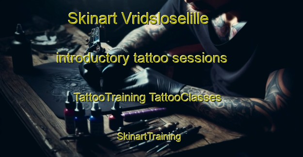 Skinart Vridsloselille introductory tattoo sessions | #TattooTraining #TattooClasses #SkinartTraining-Denmark