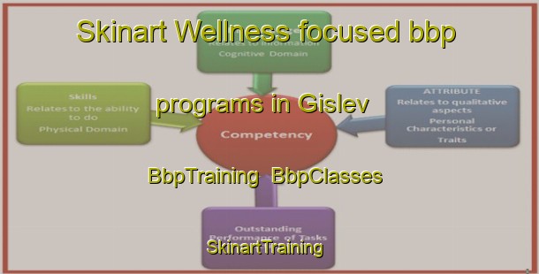 Skinart Wellness-focused bbp programs in Gislev | BbpTraining | BbpClasses | SkinartTraining-Denmark