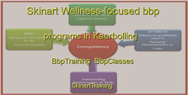 Skinart Wellness-focused bbp programs in Kaerbolling | BbpTraining | BbpClasses | SkinartTraining-Denmark