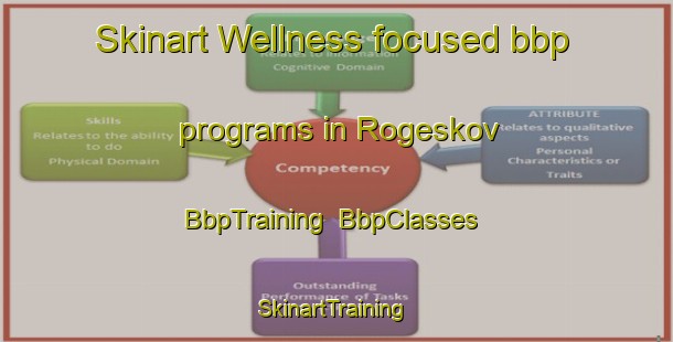 Skinart Wellness-focused bbp programs in Rogeskov | BbpTraining | BbpClasses | SkinartTraining-Denmark