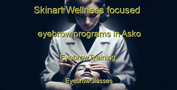 Skinart Wellness-focused eyebrow programs in Asko | EyebrowTraining | EyebrowClasses | SkinartTraining-Denmark