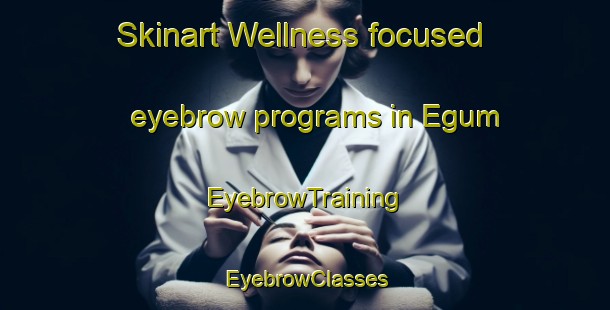 Skinart Wellness-focused eyebrow programs in Egum | EyebrowTraining | EyebrowClasses | SkinartTraining-Denmark
